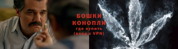 ПСИЛОЦИБИНОВЫЕ ГРИБЫ Медногорск